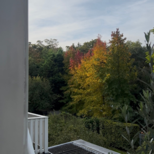 Uitzicht BLOOM Rooms