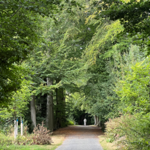 Wandelen BLOOM Rooms
